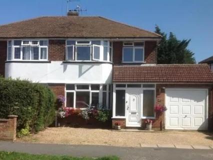 Hollybush Private House Hotel Luton  Esterno foto